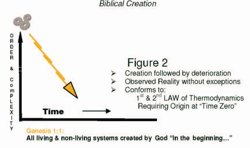 LAW of ENTROPY